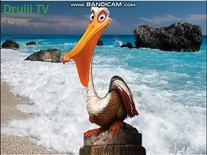 Drulii TV Birds Names and Sounds