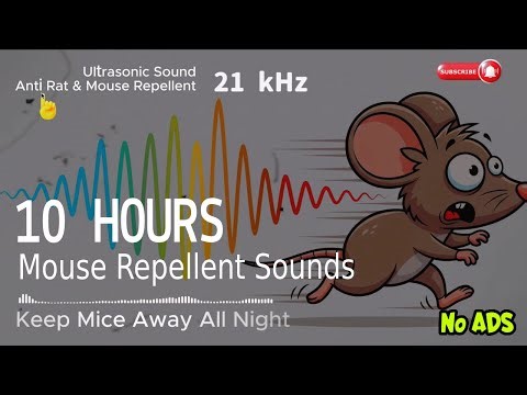 Anti Mouse Sound Keep Mice Away All Night 🌙🐭🚫 | 10 Hour Continuous Ultrasonic Protection