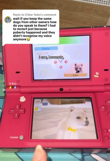 Teaching New Tricks to Dogs Despite Voice Differences