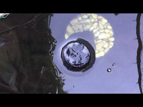 Pond Water Surface Skimmer (PONDSKIM-1) - All Pond Solutions