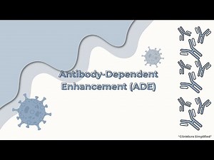 Antibody Dependent Enhancement (ADE) Part 1 | Basics Explained In 1 Minute.