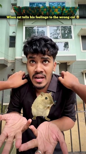 ‼️Funny ending: you won't believe what happens😂 #comedy #funny