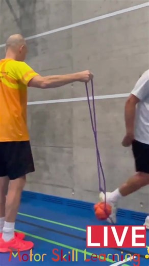 For Early Years Physical Education & Active Play Teachers Motor Skill Learning Live Conference details https://www.motorskilllearning.com/liveconference If interested, leave your email here for free games & activities https://www.motorskilllearning.com/freeupdatesmsl