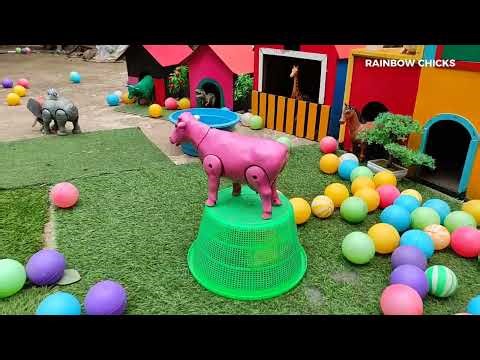 CUTE AND COLORFUL CHICKS ADVENTURE || CATCH THE FUNNY RAINBOW CHICKS ,DUCKS,CAT,RABBIT🐤 #1