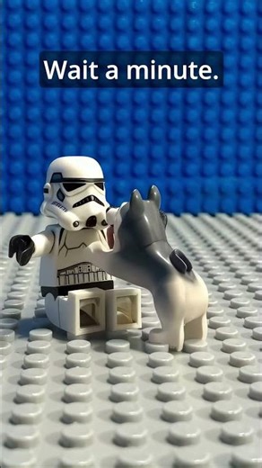 Stormtrooper meets a very excited Dog! 🐶😅 (Wholesome & Funny)