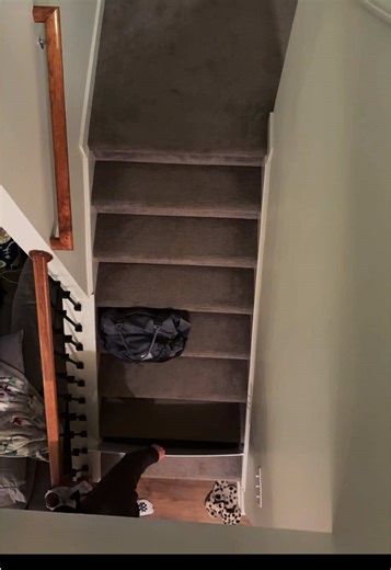 Franklin's Hilarious Mission to Find Me