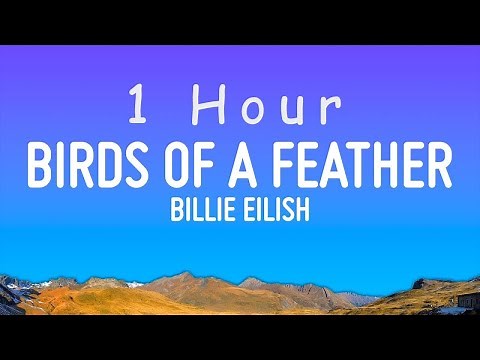 Billie Eilish - BIRDS OF A FEATHER (Lyrics) | 1 hour