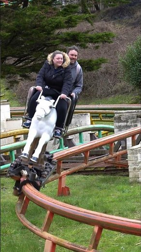 Unique roller coaster themed to a horse race at Blackpool Pleasure Beach Resort! #steeplechase