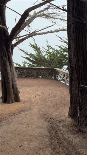 The Lookout at Ragged Point Inn is an extra special place for my wife and I ❤️. @raggedpointinn @bigsurcalifornia #raggedpoint #bigsur | Avocado Shack
