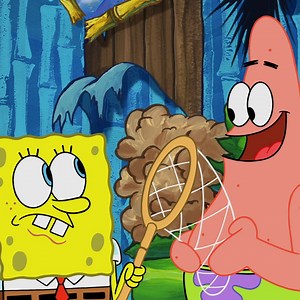 3.7M views · 137 reactions | When you leave your pet home alone... | Remember When | Facebook