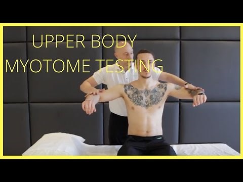 Myotome Tests For Upper Body