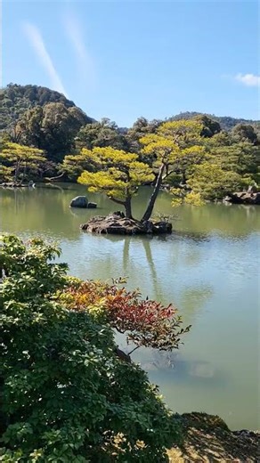 만화속 풍경 같은 금각사~(킨카쿠지)(Golden Pavilion)#shorts#금각사#은각사#교토여행 #여행#일본여행 #가보고싶은곳 1위 #여행유튜버#풍경 #아름다운풍경