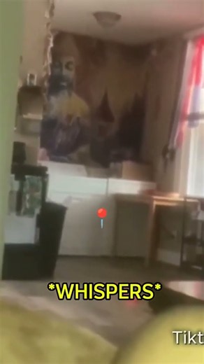 Real mimic caught on camera #horror #ghost #scary