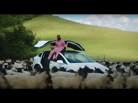 SL - Little Bird (Official Music Video)