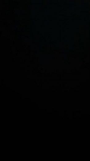 fireflight evolution (1985-2024)