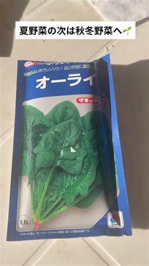 夏野菜の次はこれ！秋冬野菜の種を紹介🌱 #ヤマグチファーム#農家の日常#農業#秋野菜#秋冬野菜#種まき#野菜作り#畑仕事#農作業#家庭菜園#野菜の種#農ある暮らし#京都農家