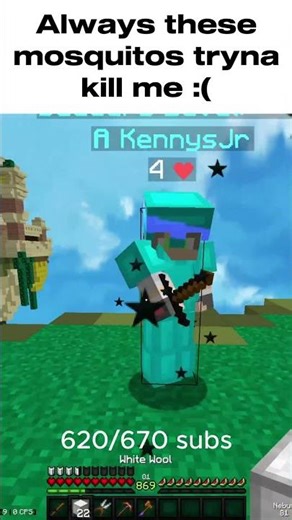 mosquitos in bedwars?? #hypixel /visit Dewier