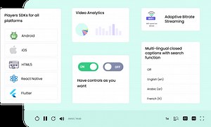 Best Online Video Player - MP4, H264, Nearly All