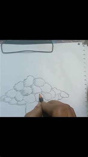 how to draw banayan tree????👉👉👉👌👌👌👍👍👍👍👍