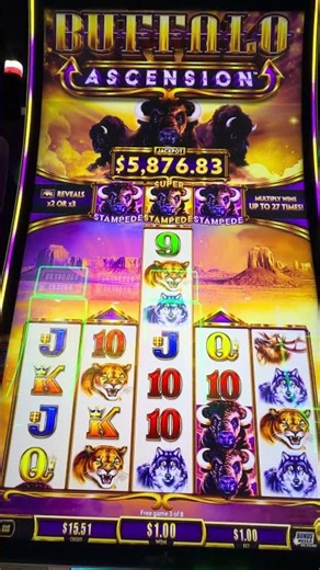 Buffalo Ascension SLot Machine | $1 bet | 8 free games | July 4, 2026