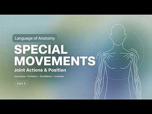 Language of Anatomy — Part 2 | Planes of Movement, Anatomical Position & Joint Actions
