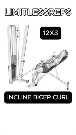 Bicep Workout | Strength and Size Builder