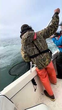 Salmon Fishing August 1. Caught a White Sea Bass