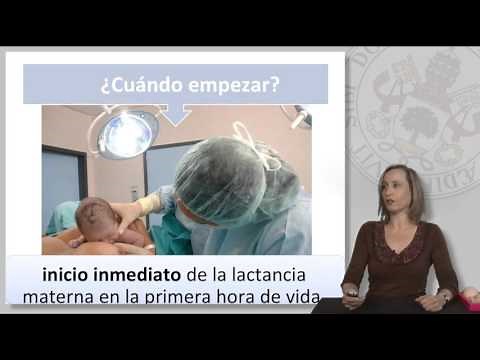 LA LACTANCIA MATERNA: TÉCNICA.