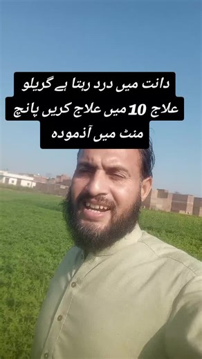 Effective Home Remedies for Tooth Pain Relief