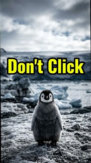 Cute Alert: Meeting a Baby Penguin Up Close! 🐧