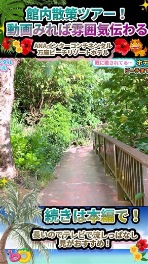 [The hotel was a great choice] The walking trails within the hotel are amazing 🏝️ Tropical scener...