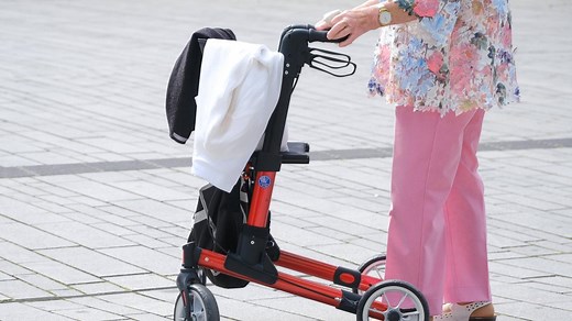 Die Ratgeber : Rollatoren im Test