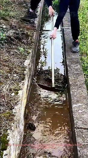 Ditch Cleaning! Clearing Clogged Irrigation Channels for Farm Water Flow