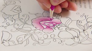 30K views · 1K reactions | Here's my method for colouring Sweet Peas - such pretty blossoms! There's a whole double page spread of them in Ivy and the Inky Butterfly, so lots of opportunities for perfecting those petals! | Johanna Basford | Facebook