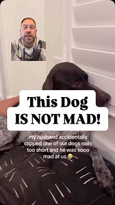 Knowing how a dog uses avoidance as one of its coping mechanisms enhances your training. This dog wants nothing to do with being petted and unfortunately videos like this teach people that this behavior is from a dog that’s mad. When actually it’s in response to some accidental pain and the humans reaction to that pain. Have I ever clipped a dog’s nail too short? Yup! What did I do after? I refocused my energy to being neutral, made sure the dog was okay, and then continued to cut its nails. The