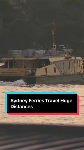 Discover Fascinating Facts About Sydney's Ferries