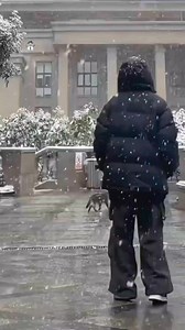 Snow ❄️❄️❄️ | Kate Lee