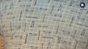 ُThe Screen on Reels