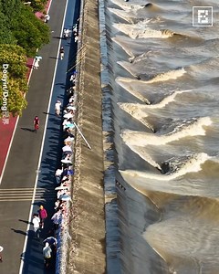 692K views · 11K reactions | Once In A Lifetime View Of Dragon Tidal Wave | Fossbytes | Facebook