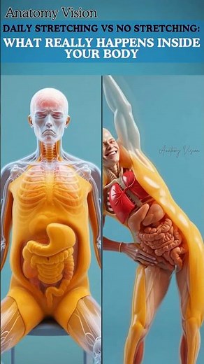 What Happens Inside Your Body When You Sit vs When You Stretch