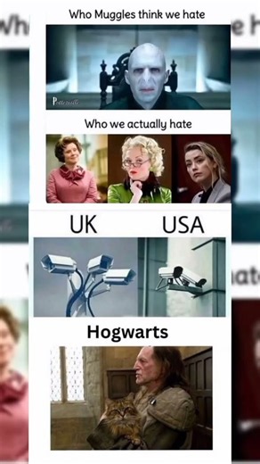 Who We Really Hate in Harry Potter vs. Muggle Logic! 😂#shorts #viral #funny 🤣 #memes 🤣😅
