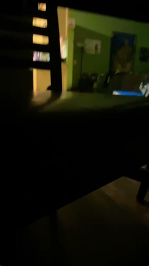 Household cat documentary one