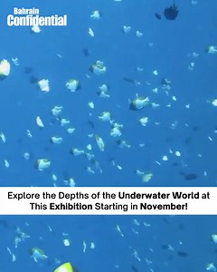 Bahrain Authority for Culture and Antiquities (@culturebah) is hosting “The Living Sea” exhibition at the Bahrain National Museum starting this Thursday, 3rd November, all the way until the 9th of March 2023! 🐳🌊 Prince Hussain Aga Khan a photographer and author of books and exhibitions, and Simone Piccoli, director of underwater documentaries are presenting their takes on the diversity of the underwater world of three countries: Tonga, Mexico, and Egypt. . . . . 🎥 by fonassociation #bahrain #
