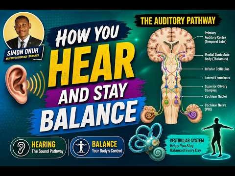 HOW YOU HEAR AND STAY BALANCE