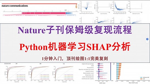 Python机器学习SHAP分析保姆级使用教程：Nature子刊讲解 重点提炼 Python代码展示！论文代码绘图神器来了！实验提速10倍不是梦！