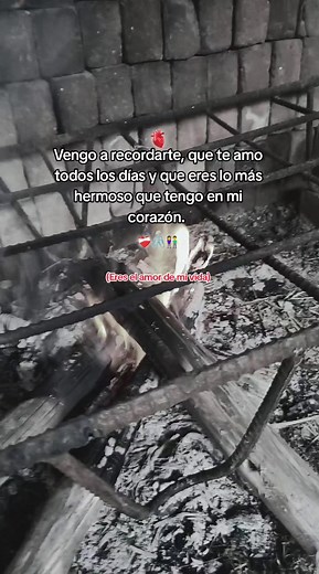 Cuentas recomendadas