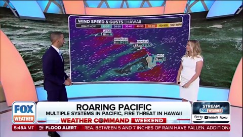 Multiple tropical systems spinning across Eastern, Central Pacific