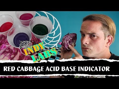 Red Cabbage Acid Base Indicator - Indy Labs #20 (At Home DIY Science)
