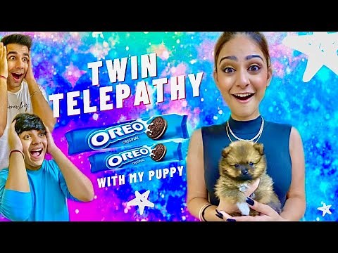TWIN TELEPATHY WITH MY CUTE PUPPY CHALLENGE | Rimorav Vlogs