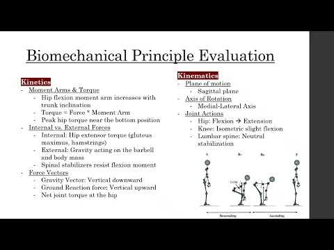 EXS 335 Lab finished Midterm Practical Presentation